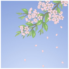 Vector illustration of spring tree brach
