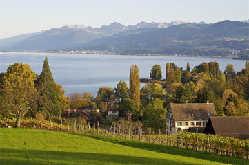 Halbinsel Au mit Blick über Zürichsee