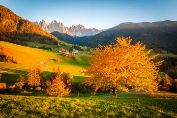 Foto auf Alu-Dibond Dolomites Alps, Val di Funes, Autumn landscape © ronnybas