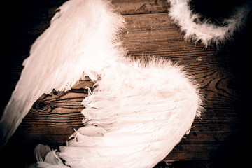 angel wings