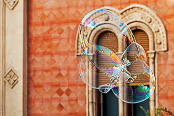 Giant soap bubbles and historic building 1