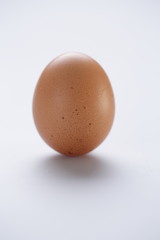 braunes ei