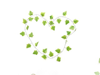 green leave heart isolated