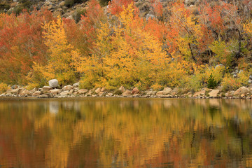 Fall Colors in the Sierra Mountains California