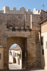 Door of Santa Maria, Hita, Guadalajara, Spain