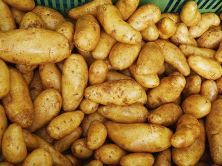 market organic potatoes