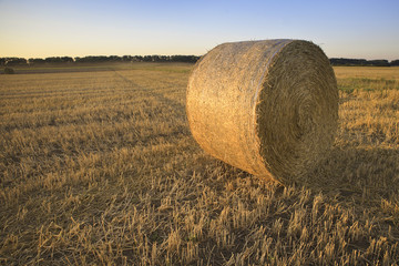 Hay bale