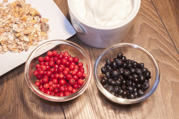 Lingonberrys and blueberrys