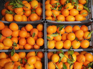 oranges market organic leaf