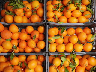 oranges market organic leaf