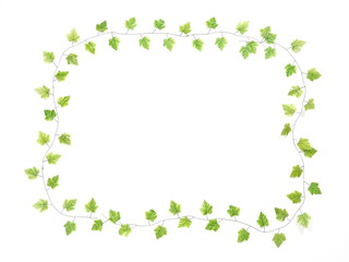 green leave frame isolated