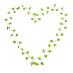 green leave heart isolated