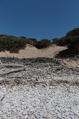 Ambiente dunale, Sicilia, vegetazione mediterranea, Irminio