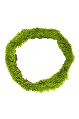 Letter made out of Leaves