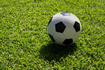 Fototapeta na wymiar football on grass
