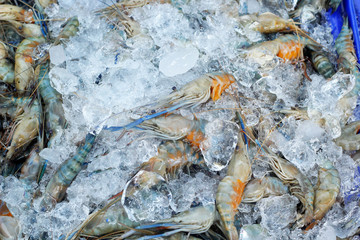 Fresh shrimp in the market