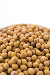 Soybean isolated on white background
