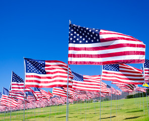 American flags on a field - 72343646