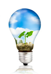 Eco bulb with green plant