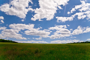 beautiful summer landscape
