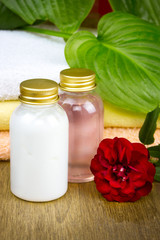 Bottles of essential oil for aromatherapy