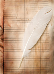 feather and old paper