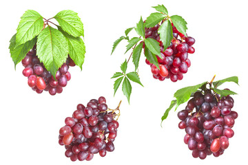 Bunch ripe, fresh red grapes with leaves isolated on a white bac