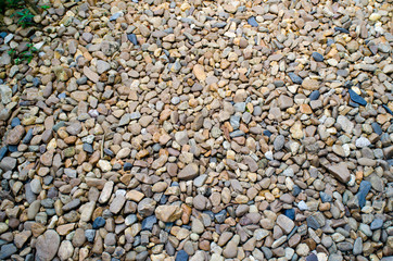 Sea stones