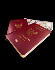 Passport and money for traveling aboard