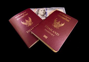 Passport and money for traveling aboard