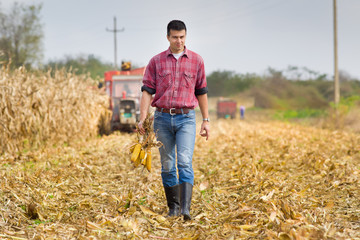 Man in corn field