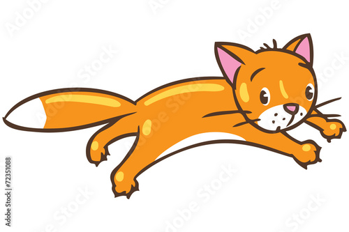 "Jumping cat" Stock image and royalty-free vector files on Fotolia.com - Pic 72351088