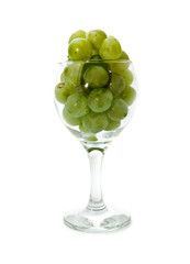 vine in glass