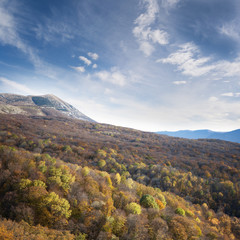 Colorful autumn forest under blue sky with clouds