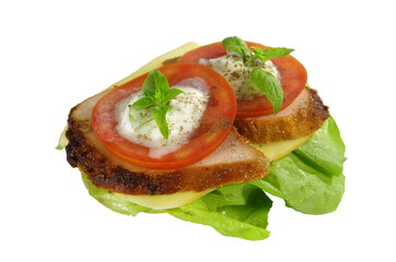 appetizing sandwich with meat and tomato on white background