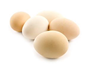 eggs