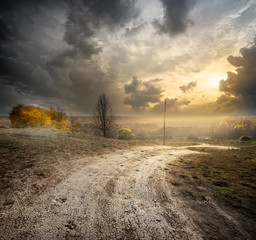 Fog over country road © Givaga