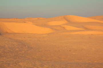 Fototapeta na wymiar Tunisia. Somewhere on Sahara desert near Douz...