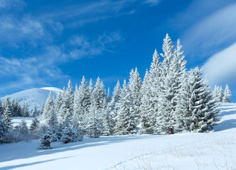 Morning winter mountain landscape
