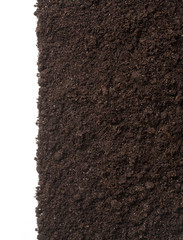 Soil or dirt texture isolated on white background