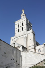 Fototapeta na wymiar Palais des Papes,Avignon