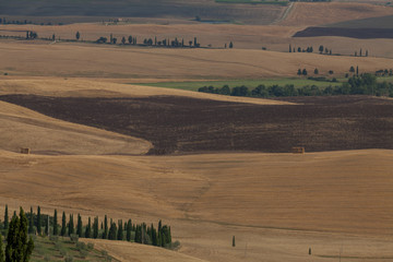 Fototapeta premium Tuscany fields in summer