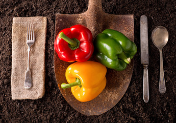 Bell Peppers