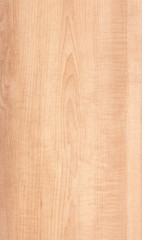 Maple Wood Texture - 72365239
