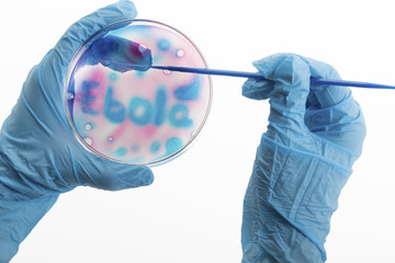 VIRUS EBOLA CONCEPT