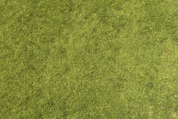 Grass Texture - 72367885