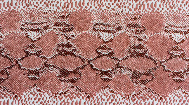 texture of print fabric striped snake leather
