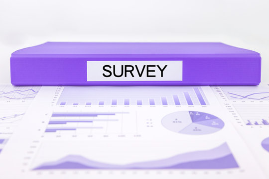Survey documents, graphs, charts and marketing report