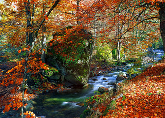Autumn river - Iliina river, Rila Bulgaria