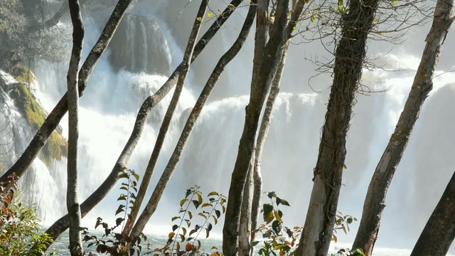 Sch&auml;umender Wasserfall hinter den B&auml;umen